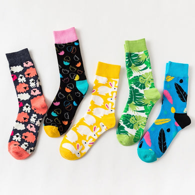 Socks & Stockings – Ishka